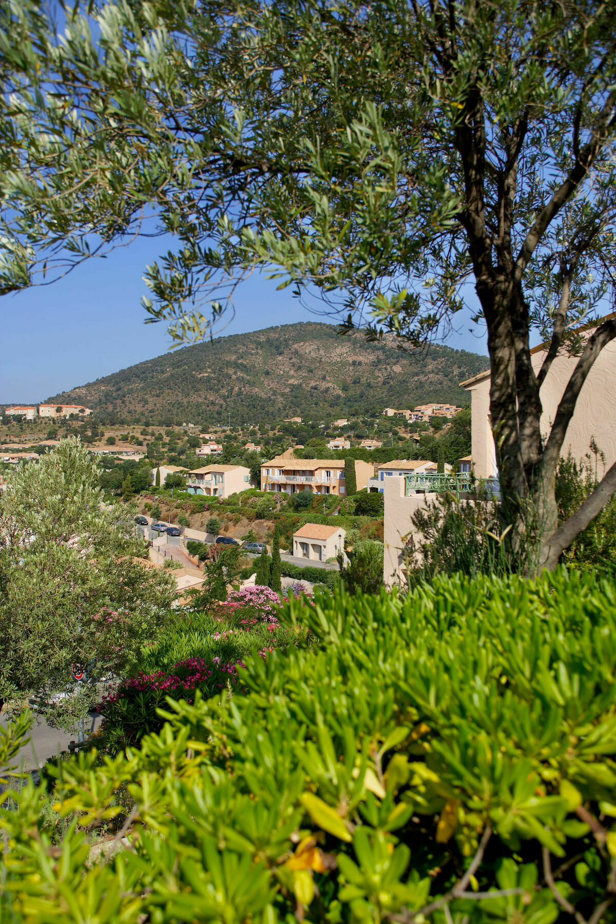 Residence Pierre & Vacances Les Terrasses Des Issambres Les Issambres Bagian luar foto